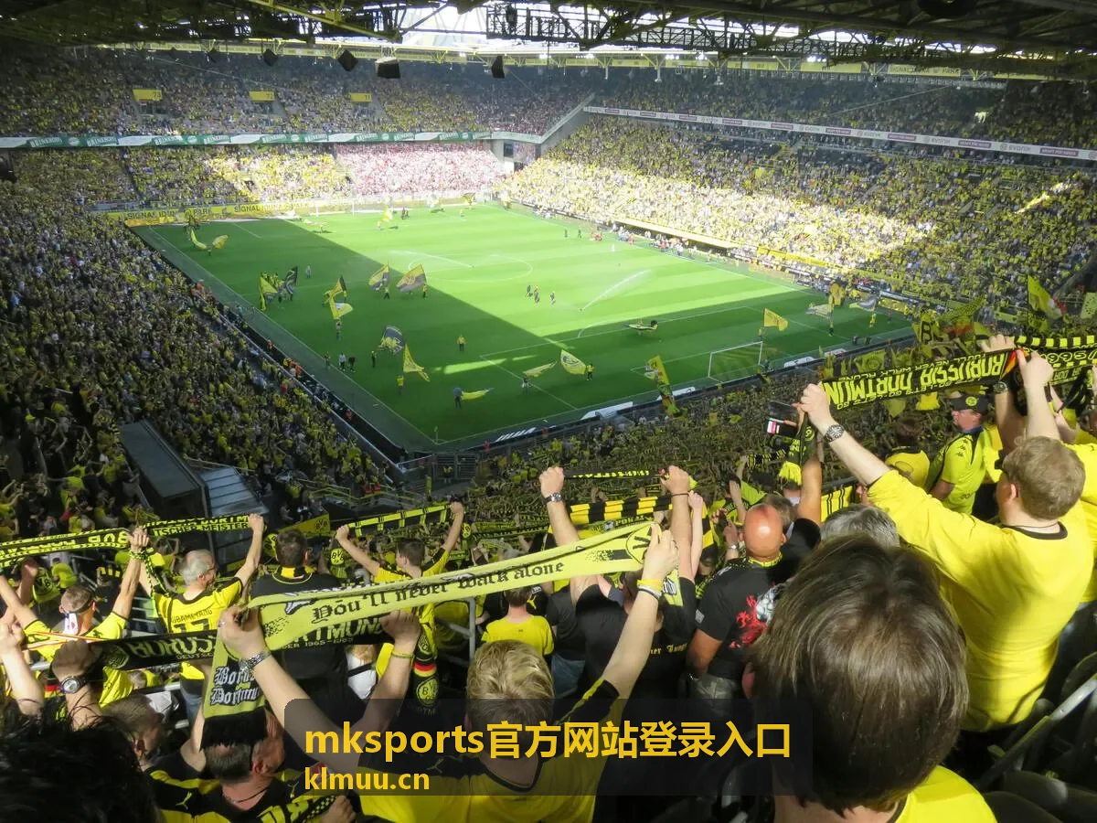 mksports官方网站登录入口场次看台视角
